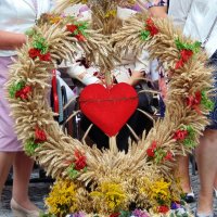 Odpust Parafialny - 15.08.2016