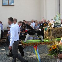 IMG_7697