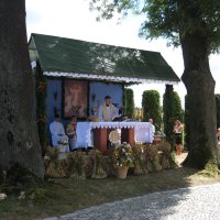 IMG_7728