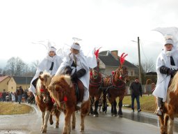 VII Orszak Trzech Króli w Nienaszowie - 6.01.2025