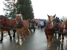 VII Orszak Trzech Króli w Nienaszowie - 6.01.2025